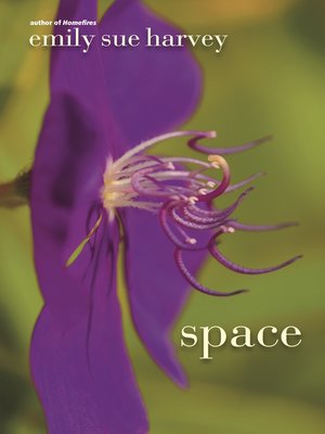 cover image of Space